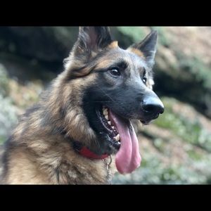 Meet your Posher, Keith